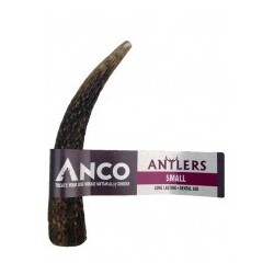 Anco Antlers Small X1
