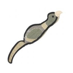 Country Game Pheasant