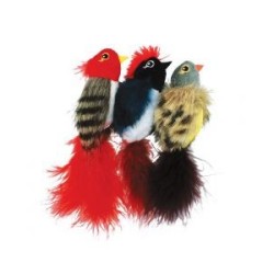 Cat 'N' Caboodle Tweeters