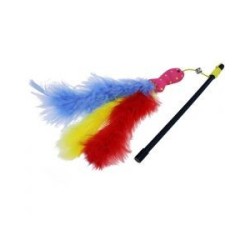 Carnival Fish Cat Teaser