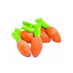 Carrot Nibblers 6Pcs