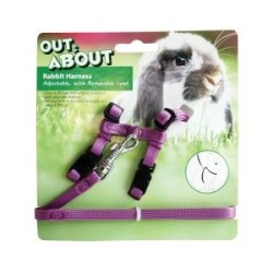 Rabbit Harness & Lead Set...