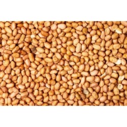 Harrisons Peanuts Plain Bag...