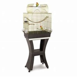 Matilde & Stand Brass