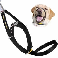 Canny Head Collar Black
