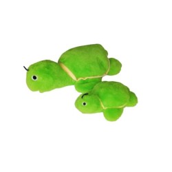 Gor Hugs Baby Tortoise...