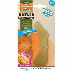 Nylabone Puppy Antler X Small