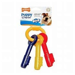 Nylabone Puppy Teething...