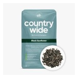 Willsbridge Black Sunflower...