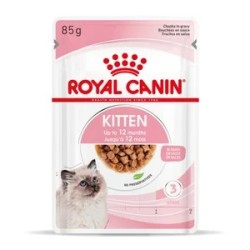 Kitten In Gravy 85G