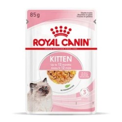 Kitten In Jelly 85G