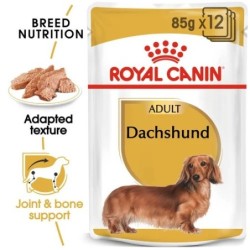 Dachshund  85G