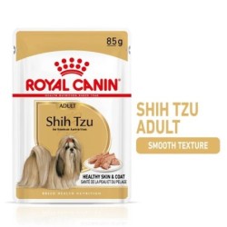 Shih Tzu  85G
