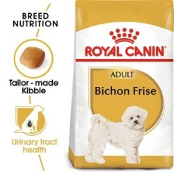 Bichon Frise 1.5Kg