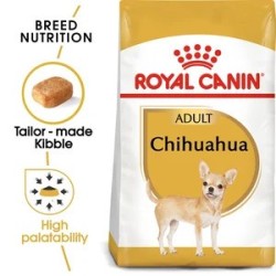 Chihuahua1.5Kg
