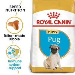 Pug Puppy 1.5Kg