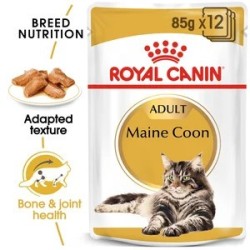 Maine Coon In Gravy 85G