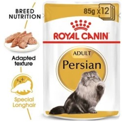 Persian In Gravy 85G