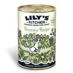 Lilys Recovery 400G