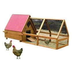 Chicken House & Run