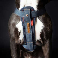 Ezydog Harness Chest Plate...
