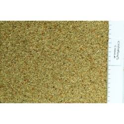 Johnston & Jeff Champions...