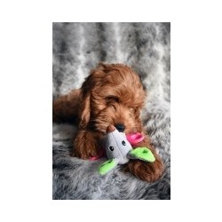 Jolly Doggy Little Nippers...