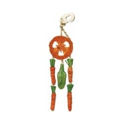 Carrot Dream Catcher
