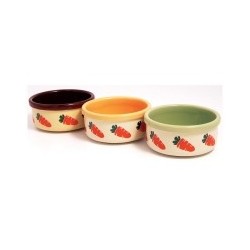 Carrot Design Bowl  12.5Cm