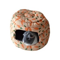 2 In 1 Carrot "Beehive" Bed