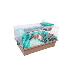 Pico Translucent Teal