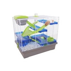 Pico Xl Silver & Green