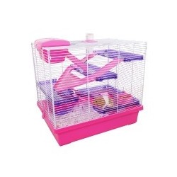 Pico Xl Pink & Purple