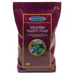 Johnston & Jeff No1 Parrot...