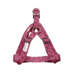 Doodlebone Originals...