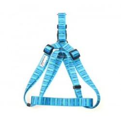 Doodlebone Originals...