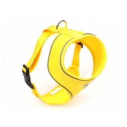 Doodlebone Originals...