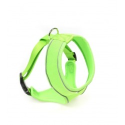 Doodlebone Originals...