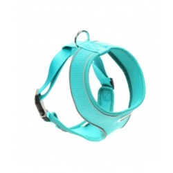 Doodlebone Originals...