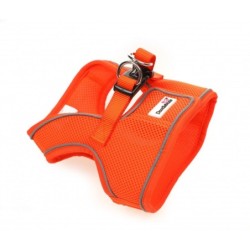 Doodlebone Originals Snappy...