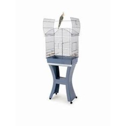 Imac Calla Cage Chrome