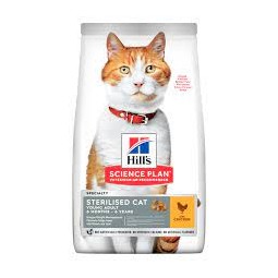 Science Plan Young Adult...