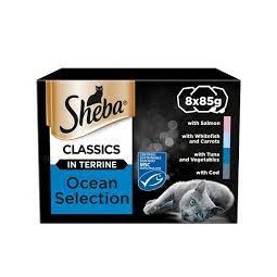 Sheba Ocean Collection...