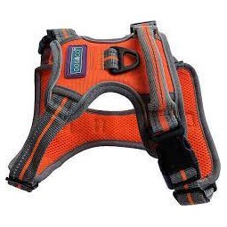 Sports Harness Orange