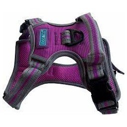Sports Harness X Small Purple