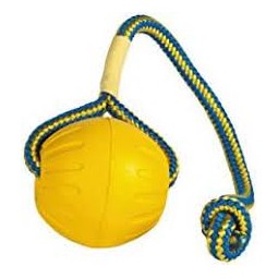 Swing N Fling Orange