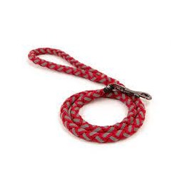 Great&Small Plaited Glow...