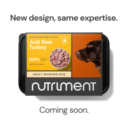 Nutriment dog food 2025