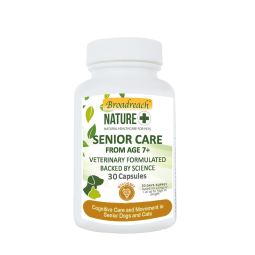 Broadreach Senior Care Cat...