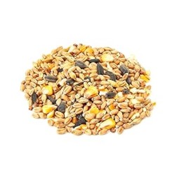 The Pet Cabin Wild Bird...